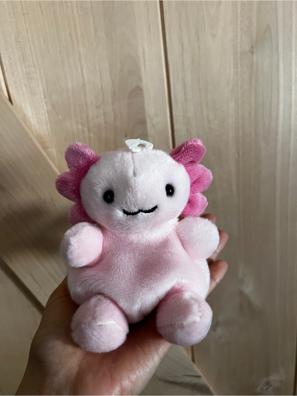 Pink Plush Axolotl PalmPal Plushie - Cute Soft Stuffed Animal Bundle This Item!